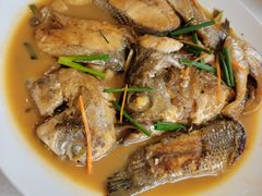 -华盛丰温州大排档(东三环南路店)