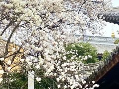 -龙华寺