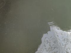 -陆地游轮吉林神农温泉