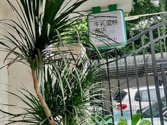 -流酥可心·牛乳蛋糕商店(禾祥西路店)