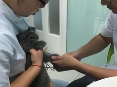 -纳吉亚猫专科动物医院博雅分院