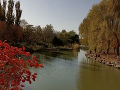 -大兴滨河森林公园