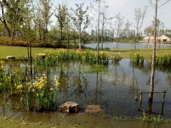 -上海长兴岛郊野公园