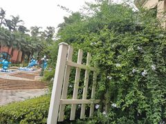 -重庆海昌加勒比海水世界