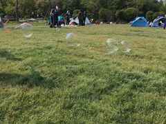 -上海海湾国家森林公园