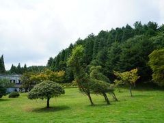 -四明山国家森林公园