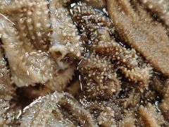 -重庆老火锅王(永陵路分店)