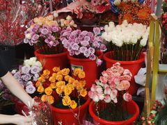 -越秀西湖花市(广州城市广场花卉店)