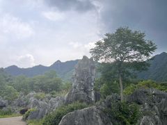 -千岛湖石林