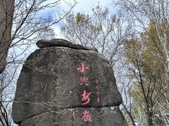 -汤旺河林海奇石景区