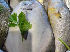 -天天渔港海鲜酒家(石浦玉泉路店)