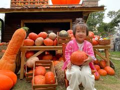 -HERRE·FARM 赫尔露营农场·团建聚会包场