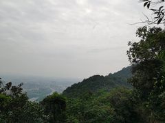 -杭州半山国家森林公园