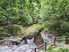 -西岭雪山大飞水景区
