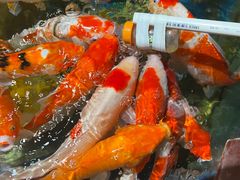 -太平洋海底世界