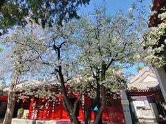 -元大都城垣遗址公园