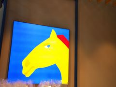 -春丽小马(济南恒隆广场店)