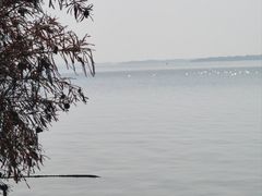 -梁子岛生态旅游区