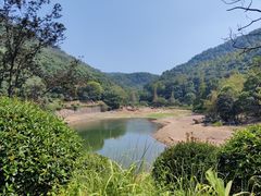 -桃花岭景区