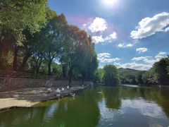 -石家庄市动物园