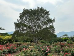 -国家植物园南园