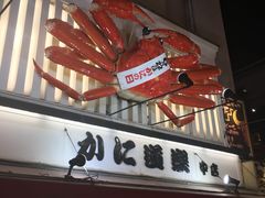 -蟹道乐(道顿堀本店)