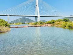 -芒洲湿地公园