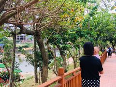 -泉州海丝野生动物世界