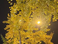 -四川大学(华西校区)