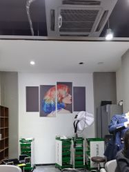 -心联形象设计·流星染