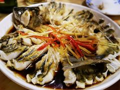 -煲来饱去冷水鱼