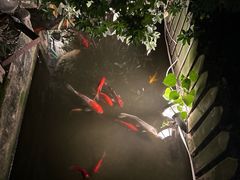 -老洋房花园饭店(绍兴路店)