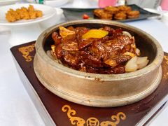 -云境生态园(高新旗舰店)