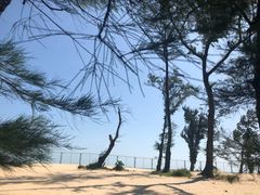 -西涌国际滨海旅游区