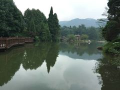 -四明山国家森林公园