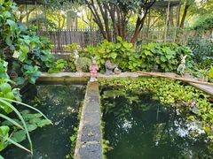 -谷咖啡·鲜花绿植花园餐厅