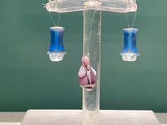 -南越王博物院(王宫展区)