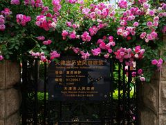 -天津五大道文化旅游区