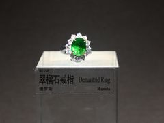 -中国地质博物馆