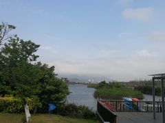 -芒洲湿地公园