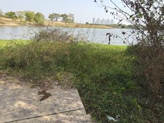 -盘龙城国家考古遗址公园