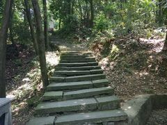 -桐君山春江扬帆码头