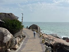-广东惠东海龟国家级自然保护区
