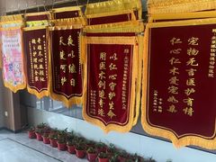 -北京派仕佳德动物医院·超导核磁·CT·神经科·骨科·内外科·急重症管理中心