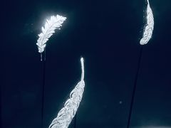 -上海当代艺术博物馆