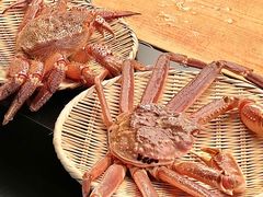 -鳥喜Toriki怀石烧鸟料理