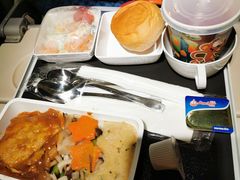-新加坡航空公司(ION)