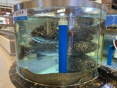 -欢乐海岸美食联盟