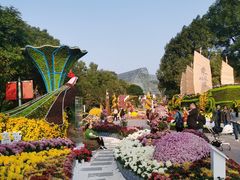 -南山植物园
