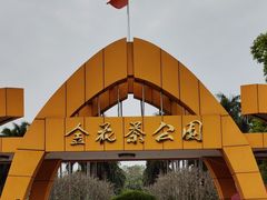 -金花茶公园